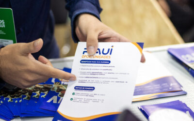 Plataforma Piauí Oportunidades ultrapassa 10 mil inscritos e se firma como ponte entre qualificação e mercado de trabalho no estado